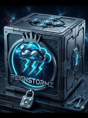 ReignStormz Mystery Box Of Shoes And Purses 15pieces